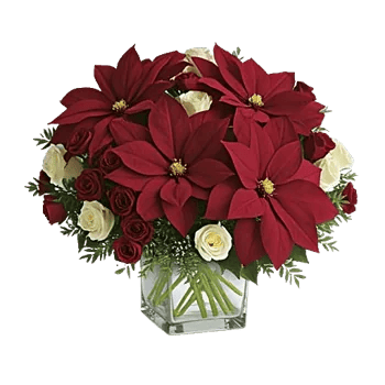 Petal Radiance Bliss