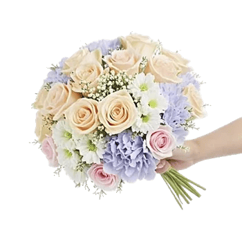 Pastel Pink Roses