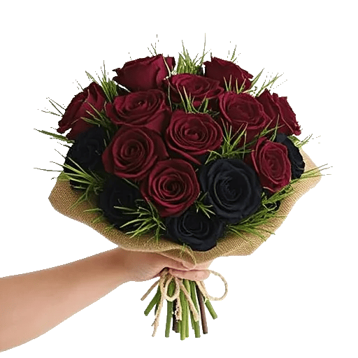Crimson Rose Elegance