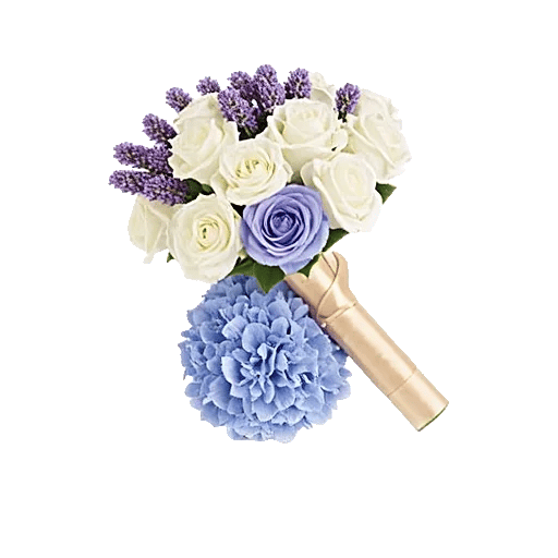 Serene Petal Harmony