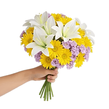 Blossom Harmony Display