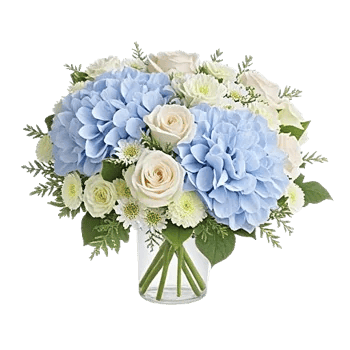 Serene Petal Harmony