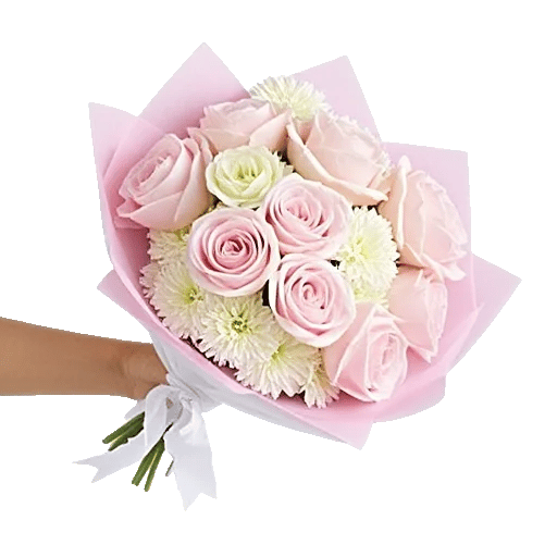 Pastel Pink Roses