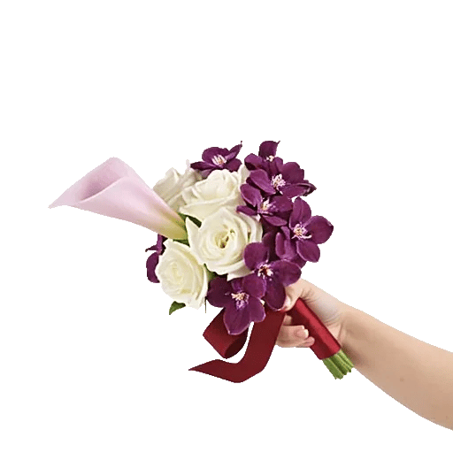 Elegant Calla Lilies