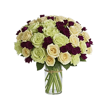 Ivory Blossom Radiance