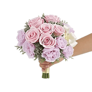 Pastel Pink Roses