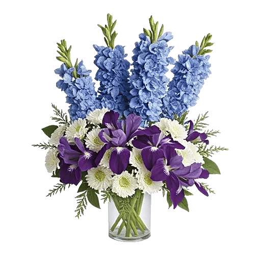 Serenity Blossom Grace