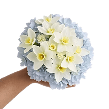 Ivory Blossom Radiance