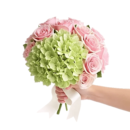 Serene Petal Harmony