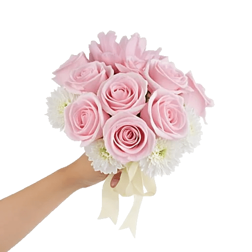 Pastel Pink Roses