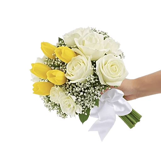 Blossom Harmony Display