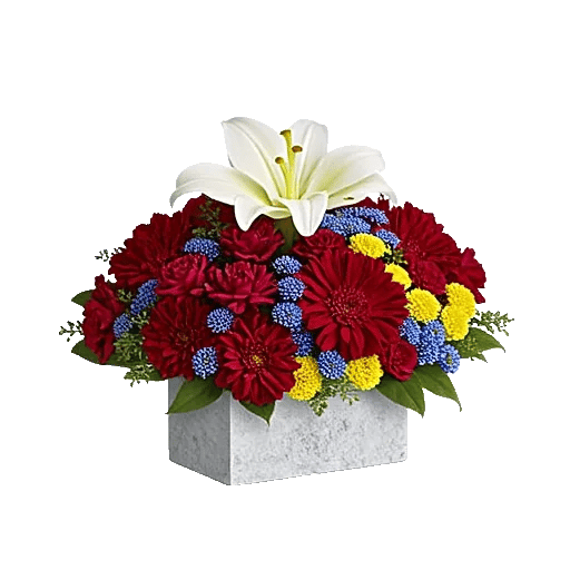 Graceful Lily Display