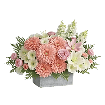 Delicate Petal Cascade