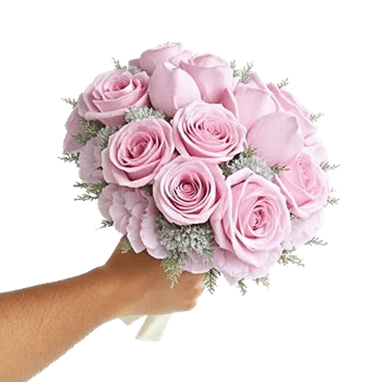 Pastel Pink Roses