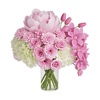 Petal Radiance Bliss