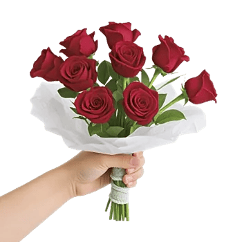 Crimson Rose Elegance