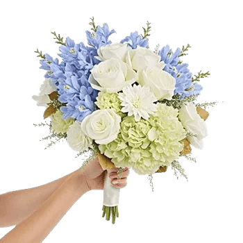 Delicate Petal Cascade