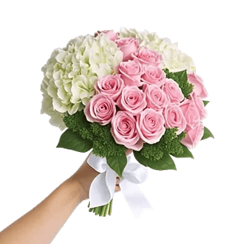 Blushing Rose Symphony