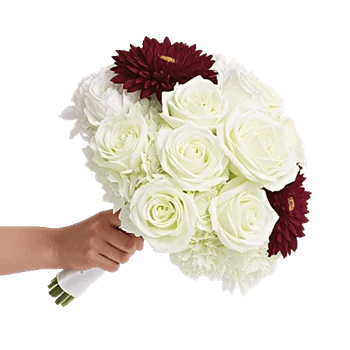 Blushing Rose Symphony