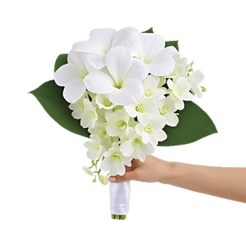 Modern White Orchids