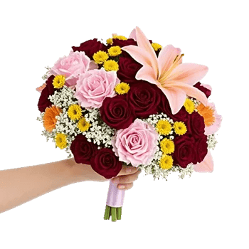 Blushing Rose Symphony