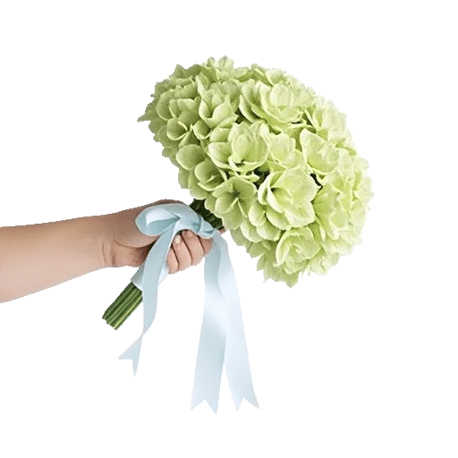 Serene Petal Harmony