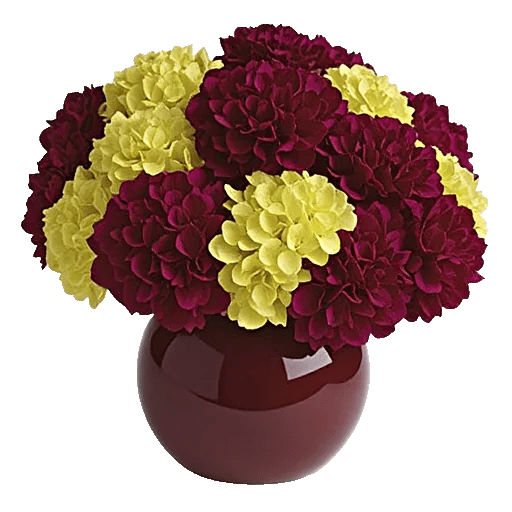 Ivory Blossom Radiance