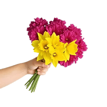 Blossom Harmony Display