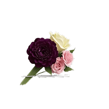 Delicate Petal Cascade