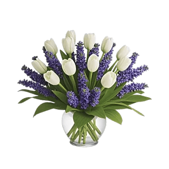 Velvet Tulip Display