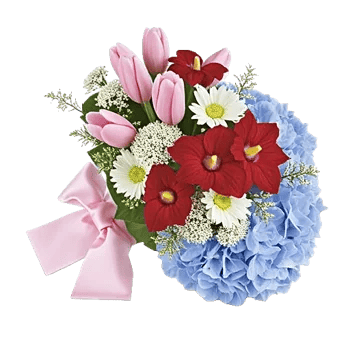 Blossom Harmony Display