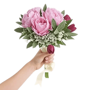 Peony Petal Harmony