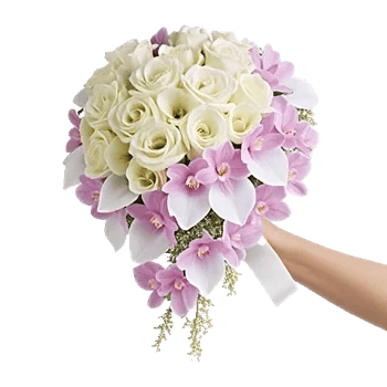 Orchid Bloom Cascade