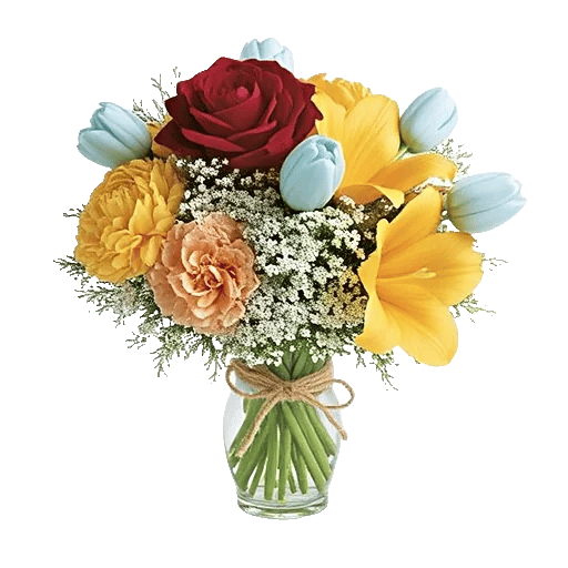 Crimson Rose Elegance