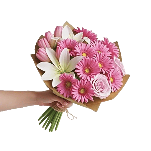 Blossom Harmony Display