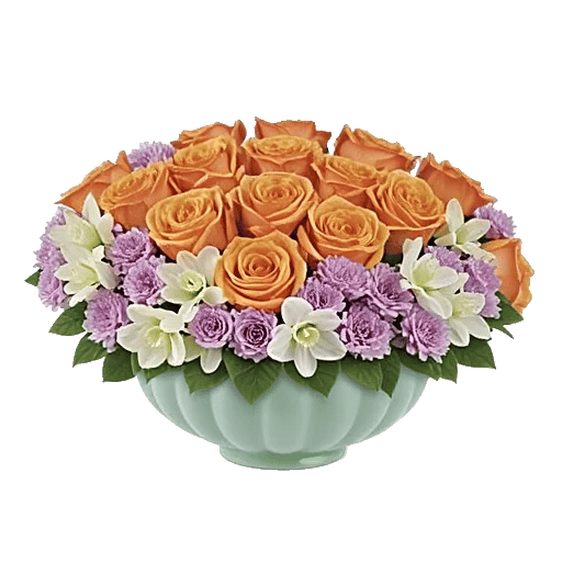Pastel Pink Roses