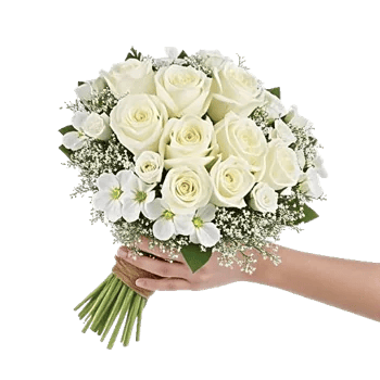 Ivory Garden Grace