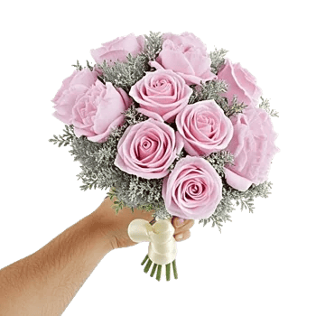 Pastel Pink Roses