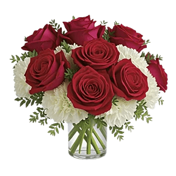 Crimson Rose Elegance