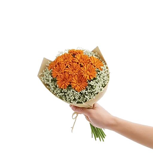 Vibrant Orange Delight