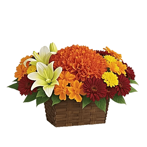 Petal Radiance Bliss