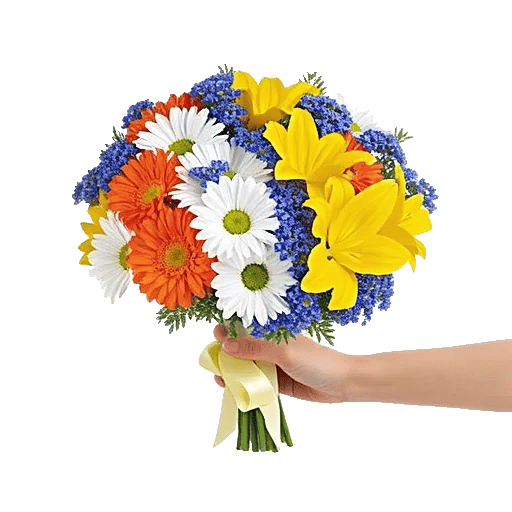 Petal Harmony Bliss