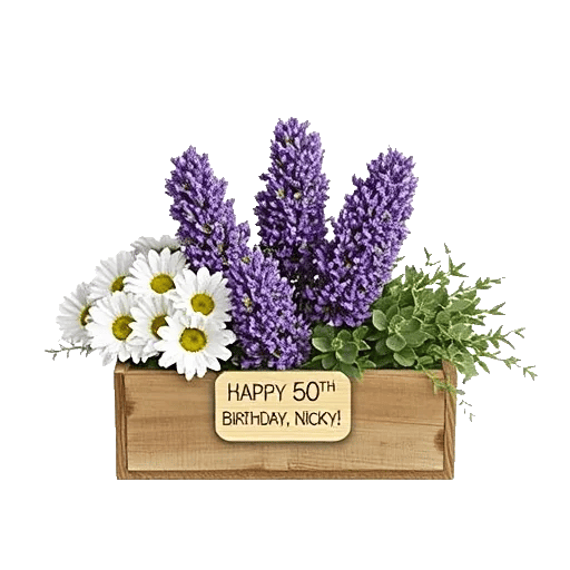 Lavender Fields Forever
