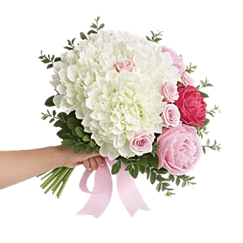 Ivory Blossom Radiance