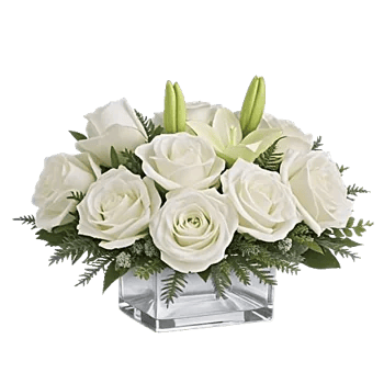Graceful Lily Display