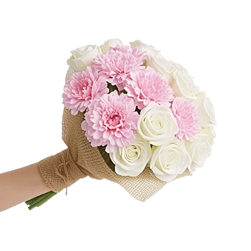 Pastel Pink Roses