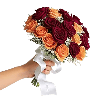 Blushing Rose Symphony