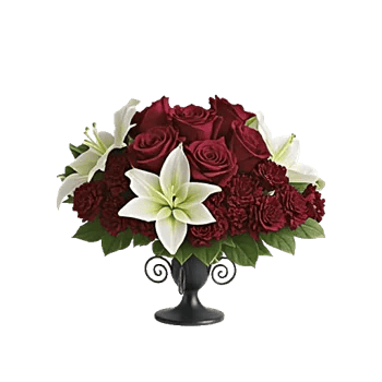 Crimson Rose Elegance