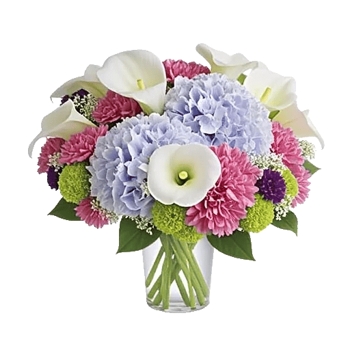 Ivory Blossom Radiance