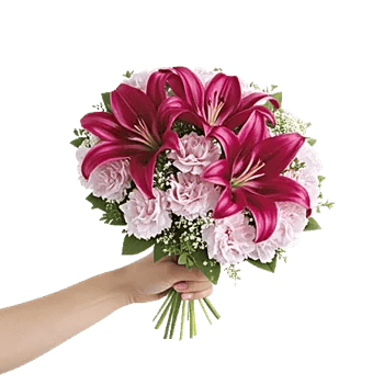 Blossom Petal Serenity